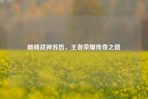 巅峰战神苏哲,王者荣耀传奇之路
