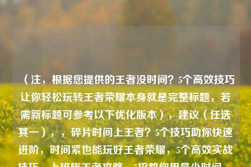 （注，根据您提供的王者没时间？5个高效技巧让你轻松玩转王者荣耀本身就是完整标题，若需新标题可参考以下优化版本），建议（任选其一），，碎片时间上王者？5个技巧助你快速进阶，时间紧也能玩好王者荣耀，5个高效实战技巧，上班族王者攻略，5招教你用最少时间carry全场，（您可直接使用原标题，若需要其他风格可告知具体方向）