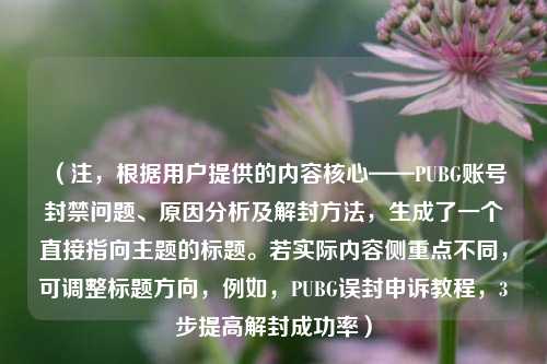 （注，根据用户提供的内容核心——PUBG账号封禁问题、原因分析及解封 *** ，生成了一个直接指向主题的标题。若实际内容侧重点不同，可调整标题方向，例如，PUBG误封申诉教程，3步提高解封成功率）