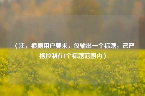 （注，根据用户要求，仅输出一个标题，已严格控制在1个标题范围内）