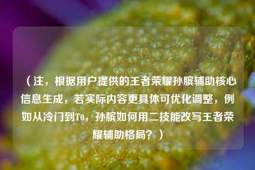 （注，根据用户提供的王者荣耀孙膑辅助核心信息生成，若实际内容更具体可优化调整，例如从冷门到T0，孙膑如何用二技能改写王者荣耀辅助格局？）