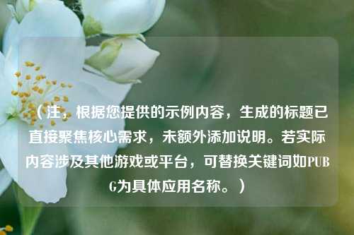 （注，根据您提供的示例内容，生成的标题已直接聚焦核心需求，未额外添加说明。若实际内容涉及其他游戏或平台，可替换关键词如PUBG为具体应用名称。）