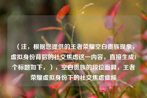 (注,根据您提供的王者荣耀空白贵族现象,虚拟身份背后的社交焦虑这一内容,直接生成1个标题如下,),空白贵族的段位面具,王者荣耀虚拟身份下的社交焦虑症候