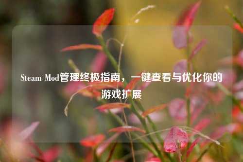 Steam Mod管理终极指南，一键查看与优化你的游戏扩展