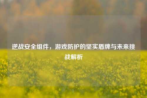 逆战安全组件，游戏防护的坚实盾牌与未来挑战解析