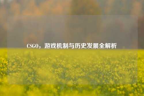 CSGO,游戏机制与历史发展全解析