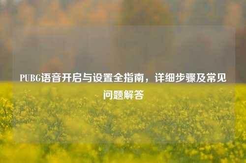 PUBG语音开启与设置全指南,详细步骤及常见问题解答