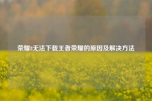 荣耀8无法下载王者荣耀的原因及解决 *** 