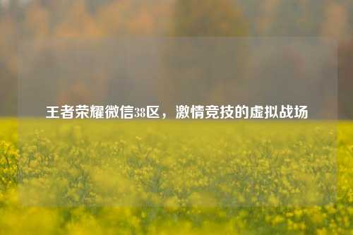 王者荣耀微信38区，***竞技的虚拟战场