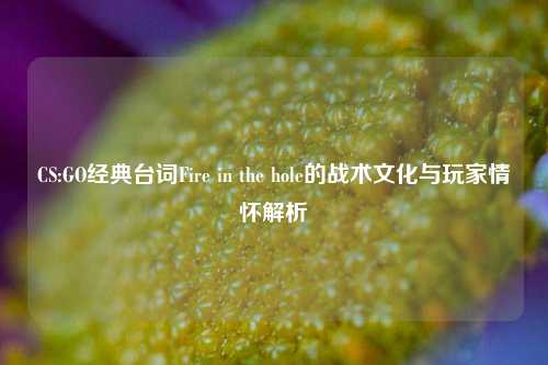 CS:GO经典台词Fire in the hole的战术文化与玩家情怀解析