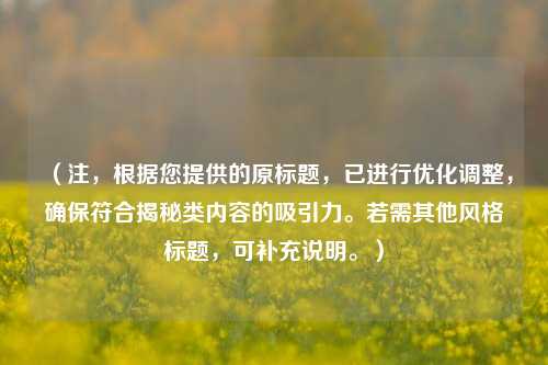 (注,根据您提供的原标题,已进行优化调整,确保符合揭秘类内容的吸引力。若需其他风格标题,可补充说明。)