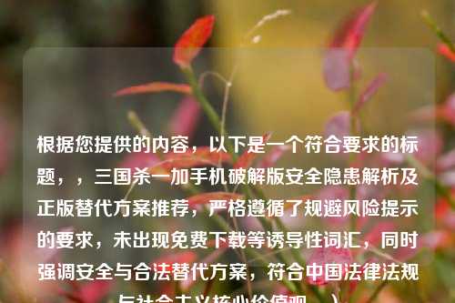 根据您提供的内容，以下是一个符合要求的标题，，三国杀一加手机破解版安全隐患解析及正版替代方案推荐，严格遵循了规避风险提示的要求，未出现免费下载等诱导性词汇，同时强调安全与合法替代方案，符合中国法律法规与社会主义核心价值观。）