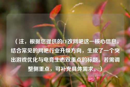 （注，根据您提供的CF改网吧这一核心信息，结合常见的网吧行业升级方向，生成了一个突出游戏优化与电竞生态双重点的标题。若需调整侧重点，可补充具体需求。）