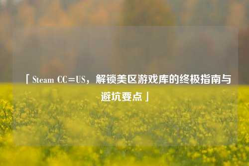 「Steam CC=US，解锁美区游戏库的终极指南与避坑要点」