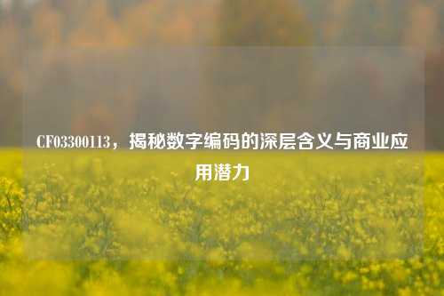 CF03300113，揭秘数字编码的深层含义与商业应用潜力