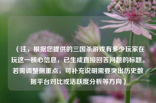 （注，根据您提供的三国杀游戏有多少玩家在玩这一核心信息，已生成直接回答问题的标题。若需调整侧重点，可补充说明需要突出历史数据平台对比或活跃度分析等方向）