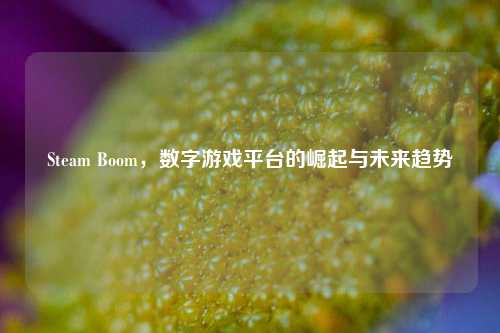Steam Boom,数字游戏平台的崛起与未来趋势