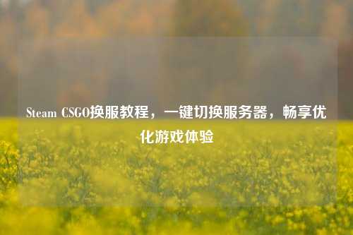 Steam CSGO换服教程，一键切换服务器，畅享优化游戏体验