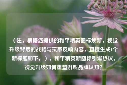 （注，根据您提供的和平精英图标焕新，视觉升级背后的战略与玩家反响内容，直接生成1个新标题如下，），和平精英新图标引爆热议，视觉升级如何重塑游戏品牌认知？