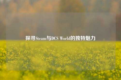 探寻Steam与DCS World的独特魅力