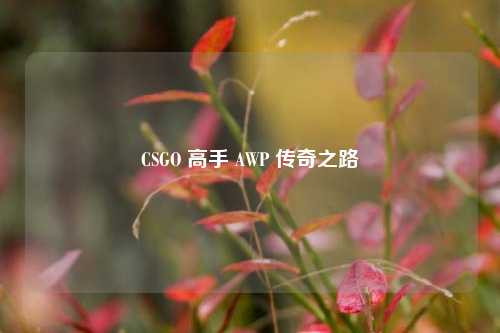 CSGO 高手 AWP 传奇之路