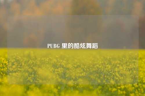 PUBG 里的酷炫舞蹈
