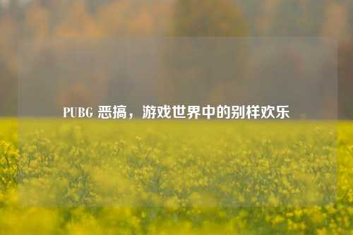 PUBG 恶搞，游戏世界中的别样欢乐