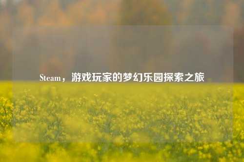 Steam，游戏玩家的梦幻乐园探索之旅
