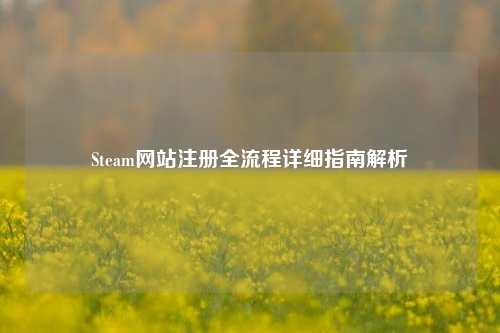 Steam网站注册全流程详细指南解析