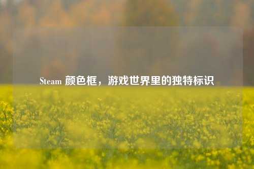 Steam 颜色框，游戏世界里的独特标识