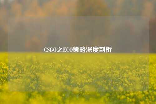 CSGO之ECO策略深度剖析
