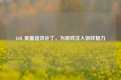 LOL 美服音效补丁，为游戏注入别样魅力