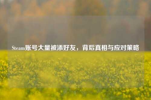 Steam账号大量被添好友，背后真相与应对策略