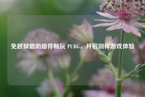 免越狱借助插件畅玩 PUBG，开启别样游戏体验