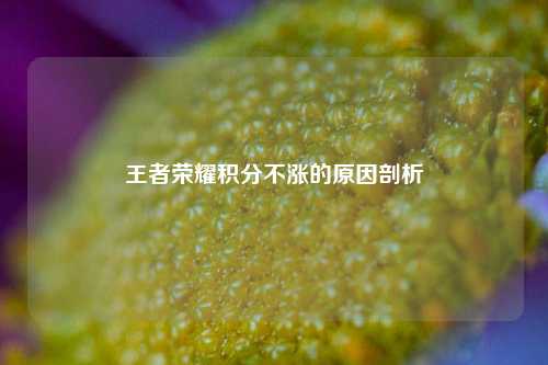王者荣耀积分不涨的原因剖析