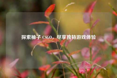 探索柚子 CSGO，尽享独特游戏体验