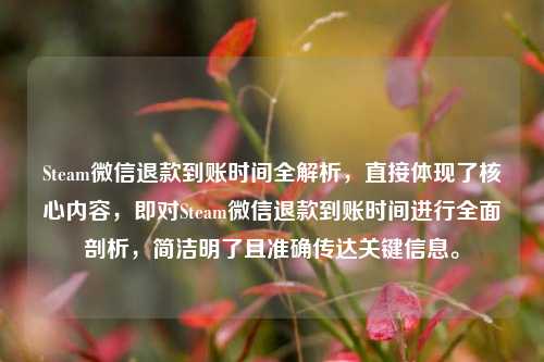 Steam微信退款到账时间全解析，直接体现了核心内容，即对Steam微信退款到账时间进行全面剖析，简洁明了且准确传达关键信息。