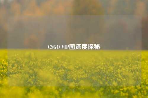CSGO VIP图深度探秘