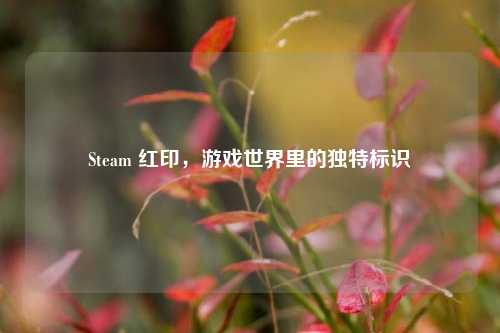 Steam 红印，游戏世界里的独特标识