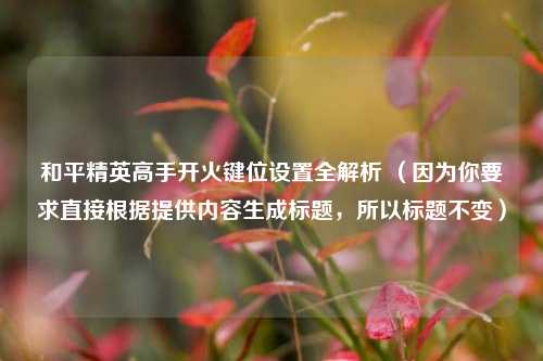 和平精英高手开火键位设置全解析 （因为你要求直接根据提供内容生成标题，所以标题不变）