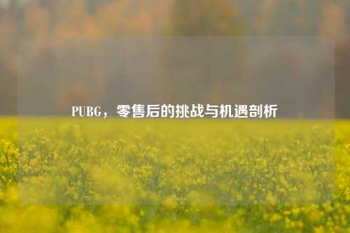 PUBG，零售后的挑战与机遇剖析