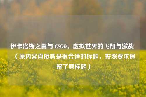 伊卡洛斯之翼与 CSGO，虚拟世界的飞翔与激战 （原内容直接就是很合适的标题，按照要求保留了原标题）