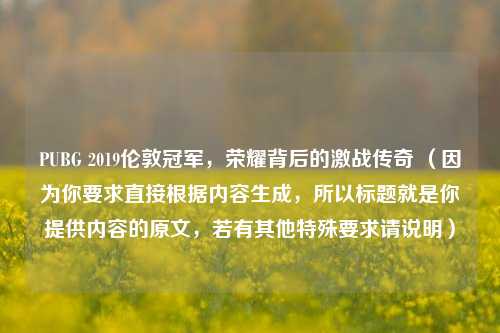 PUBG 2019伦敦冠军，荣耀背后的激战传奇 （因为你要求直接根据内容生成，所以标题就是你提供内容的原文，若有其他特殊要求请说明）
