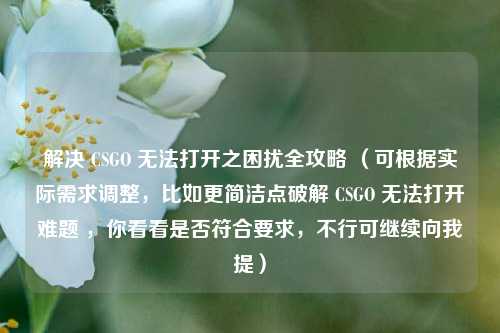 解决 CSGO 无法打开之困扰全攻略 (可根据实际需求调整,比如更简洁点破解 CSGO 无法打开难题 ,你看看是否符合要求,不行可继续向我提)