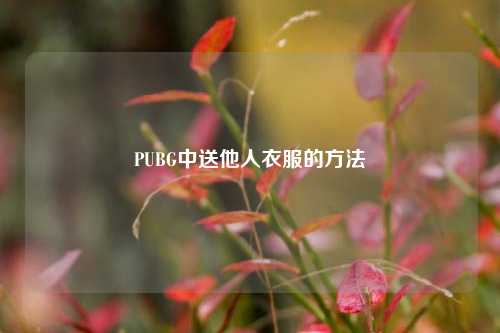 PUBG中送他人衣服的 ***