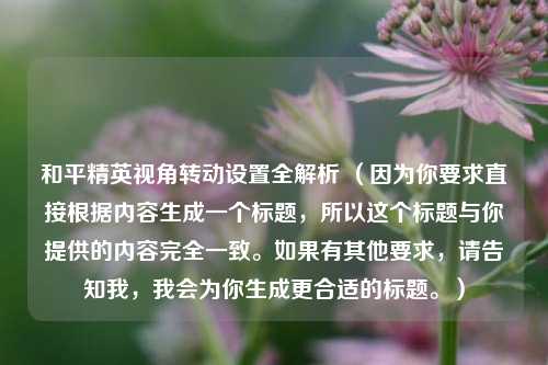 和平精英视角转动设置全解析 (因为你要求直接根据内容生成一个标题,所以这个标题与你提供的内容完全一致。如果有其他要求,请告知我,我会为你生成更合适的标题。)