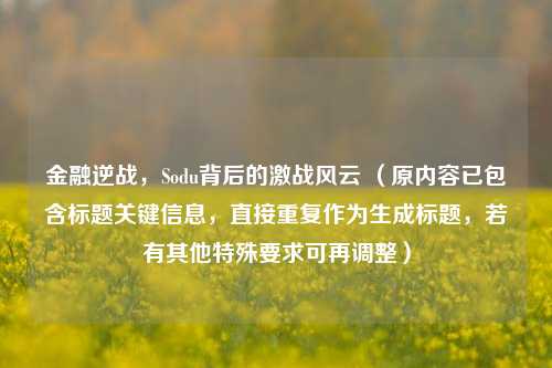 金融逆战，Sodu背后的激战风云 （原内容已包含标题关键信息，直接重复作为生成标题，若有其他特殊要求可再调整）