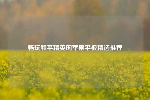 畅玩和平精英的苹果平板精选推荐
