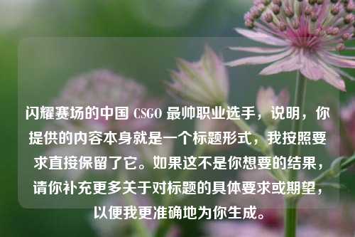 闪耀赛场的中国 CSGO 最帅职业选手,说明,你提供的内容本身就是一个标题形式,我按照要求直接保留了它。如果这不是你想要的结果,请你补充更多关于对标题的具体要求或期望,以便我更准确地为你生成。