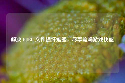 解决 PUBG 文件损坏难题,尽享流畅游戏***